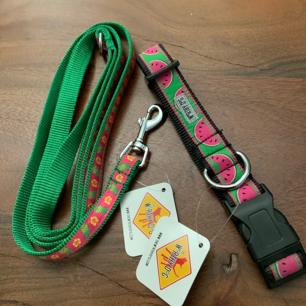 The Worthy Dog  Pineapple Leash With Watermelon Collar